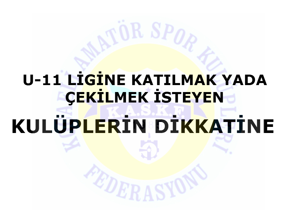 U-11 PENCERE.jpg